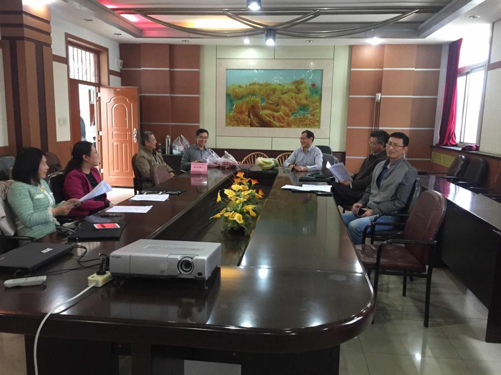 无机系分组讨论